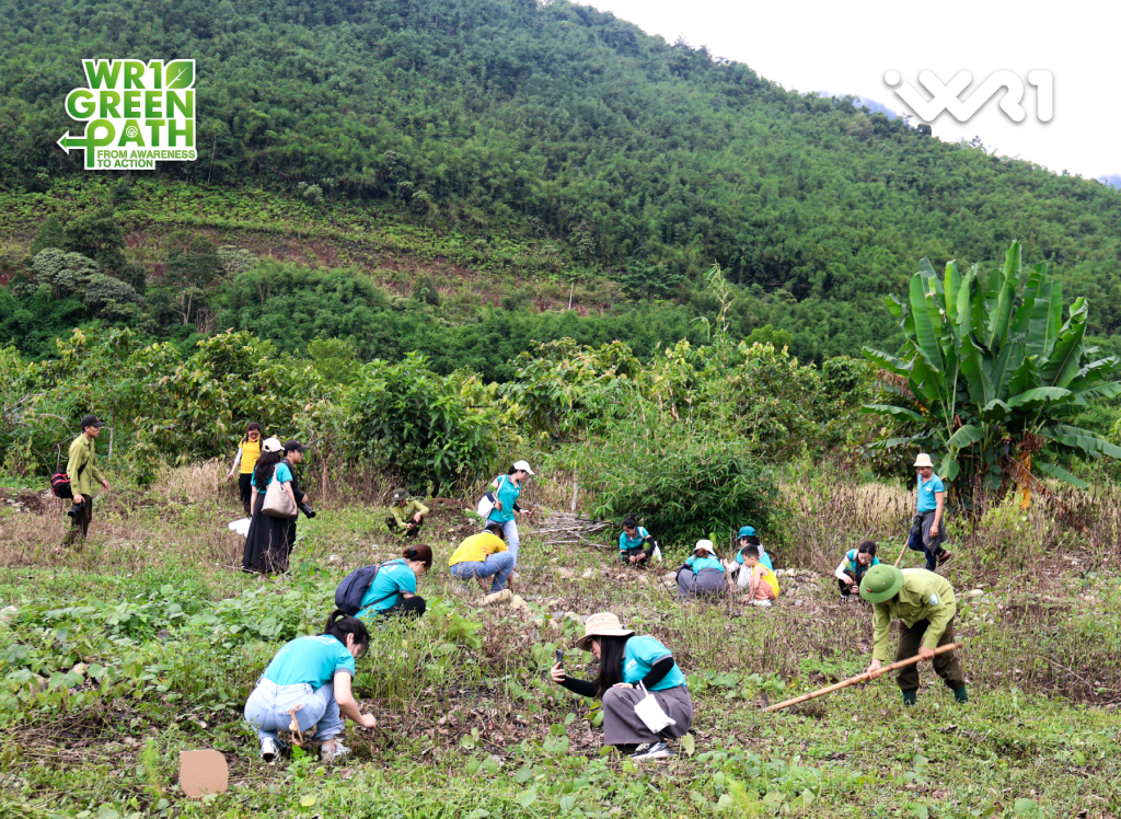 3000 Trees - 3000 Hopes Planted on the WR1 Green Path
